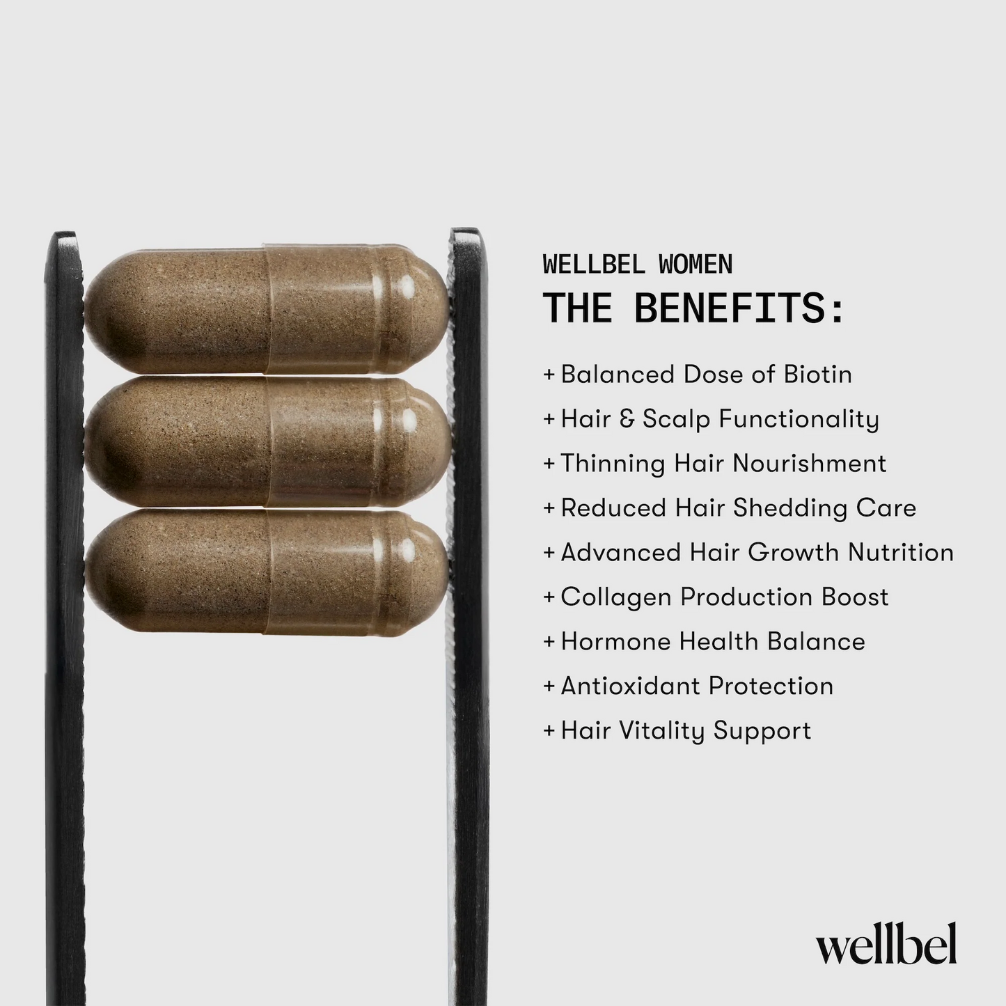 Wellbel Women International